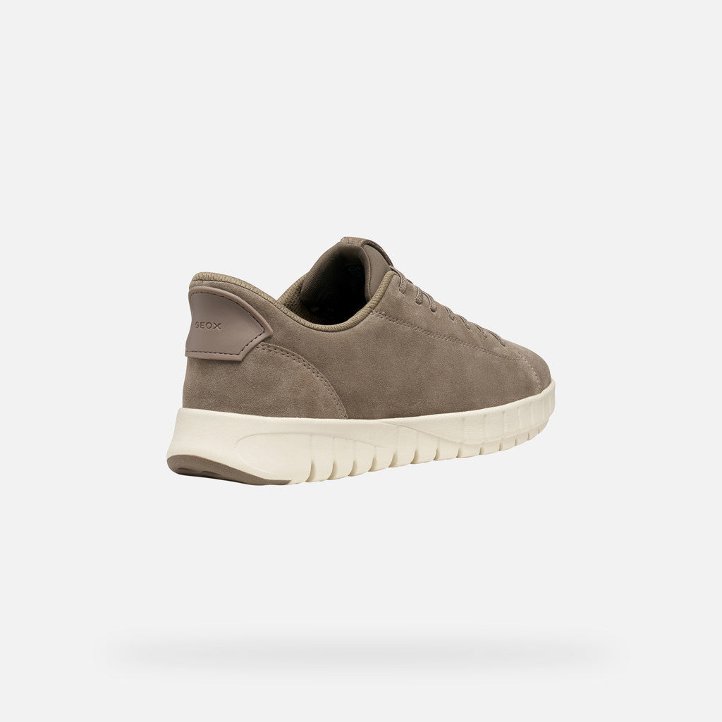 Geox Sneakers Uomo - Dove Grey