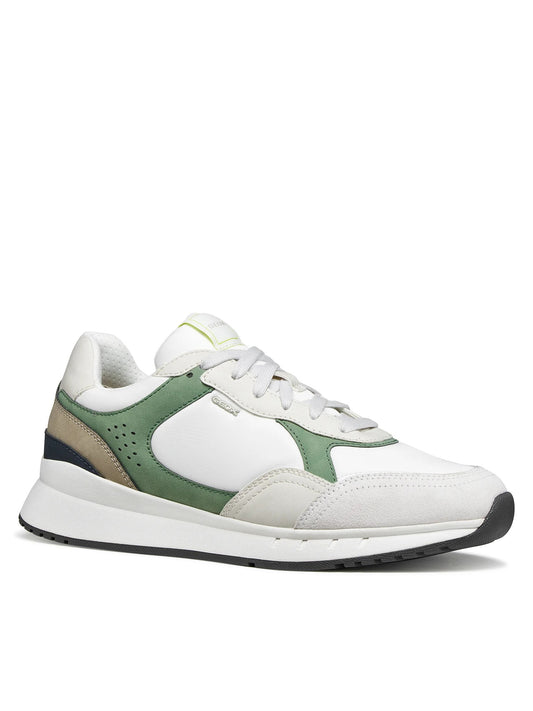 Geox Sneakers Uomo - White/Olive