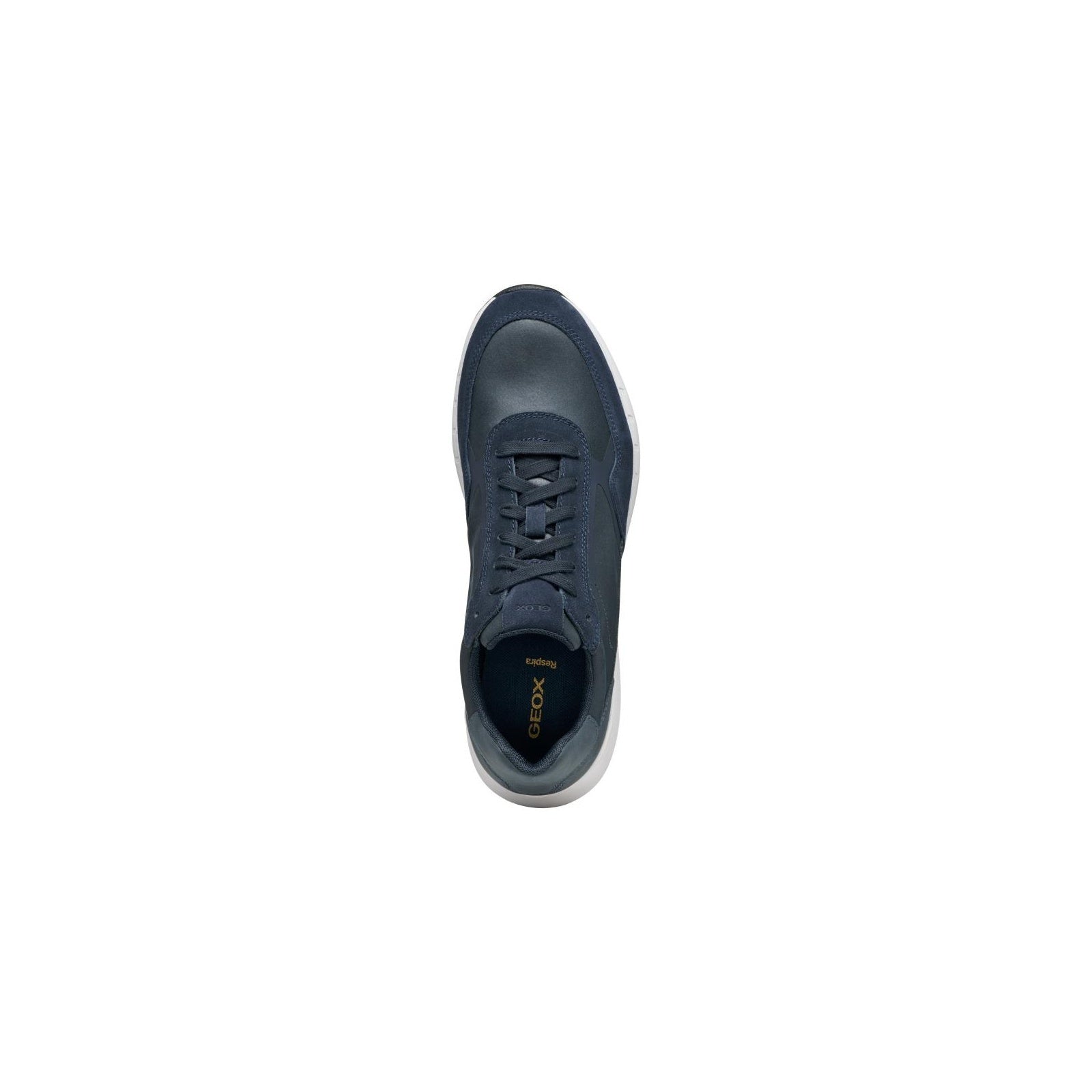 Geox Sneakers Uomo - Navy