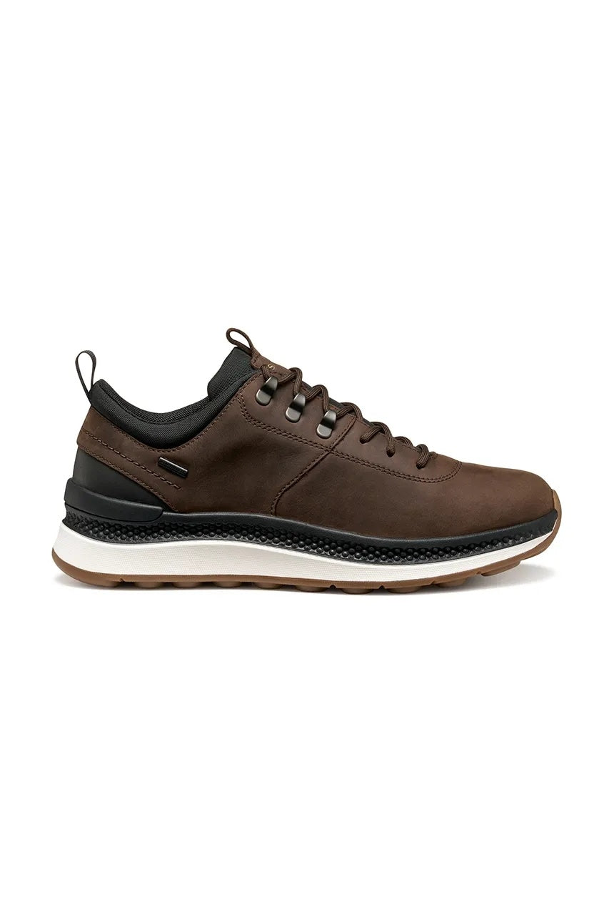 Geox Sneakers Uomo - Dk Brown