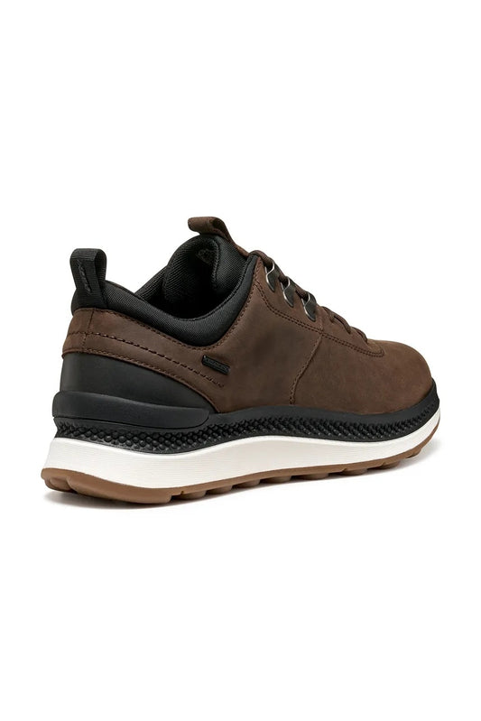 Geox Sneakers Uomo - Dk Brown