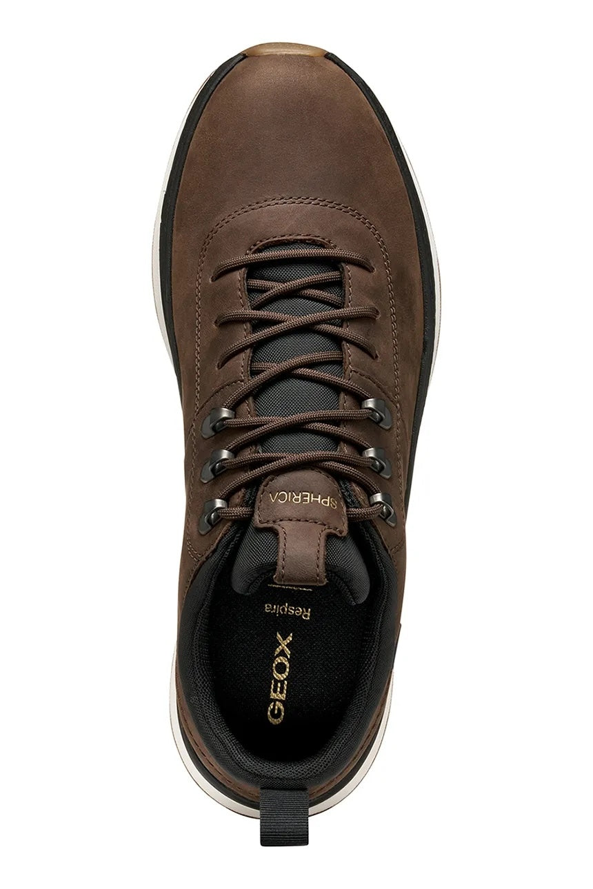 Geox Sneakers Uomo - Dk Brown