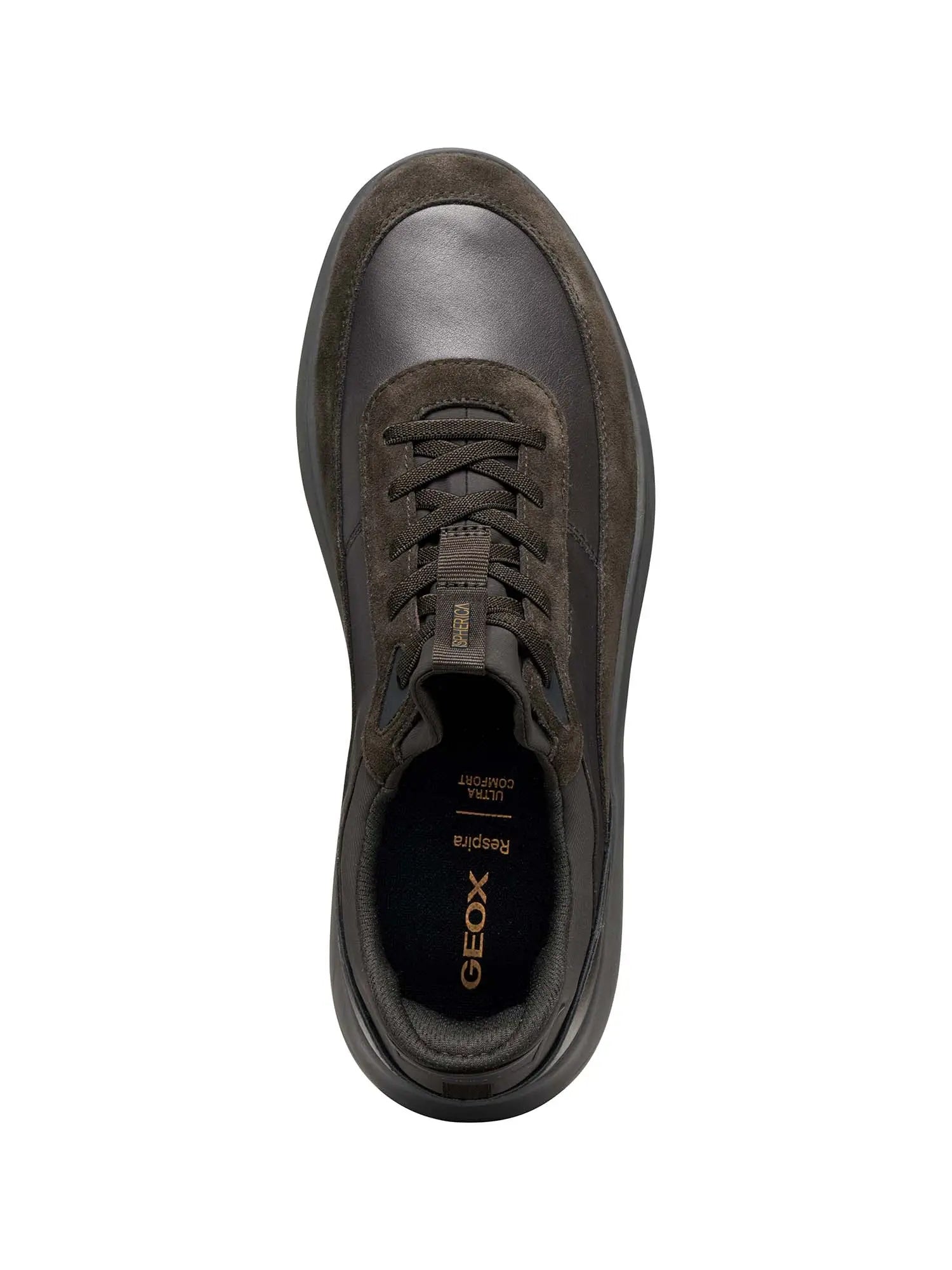 Geox Sneakers Uomo - Dk Brown