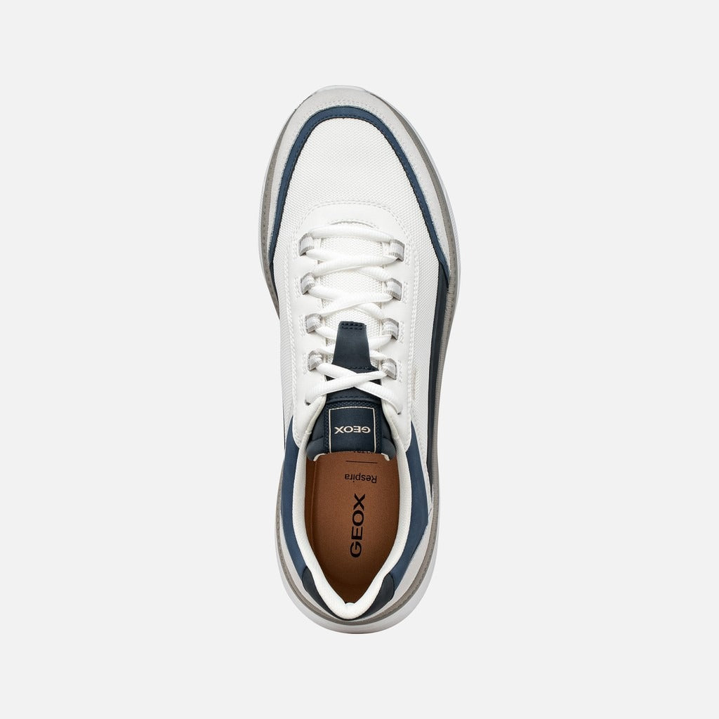 Geox Sneakers Uomo - White/Navy
