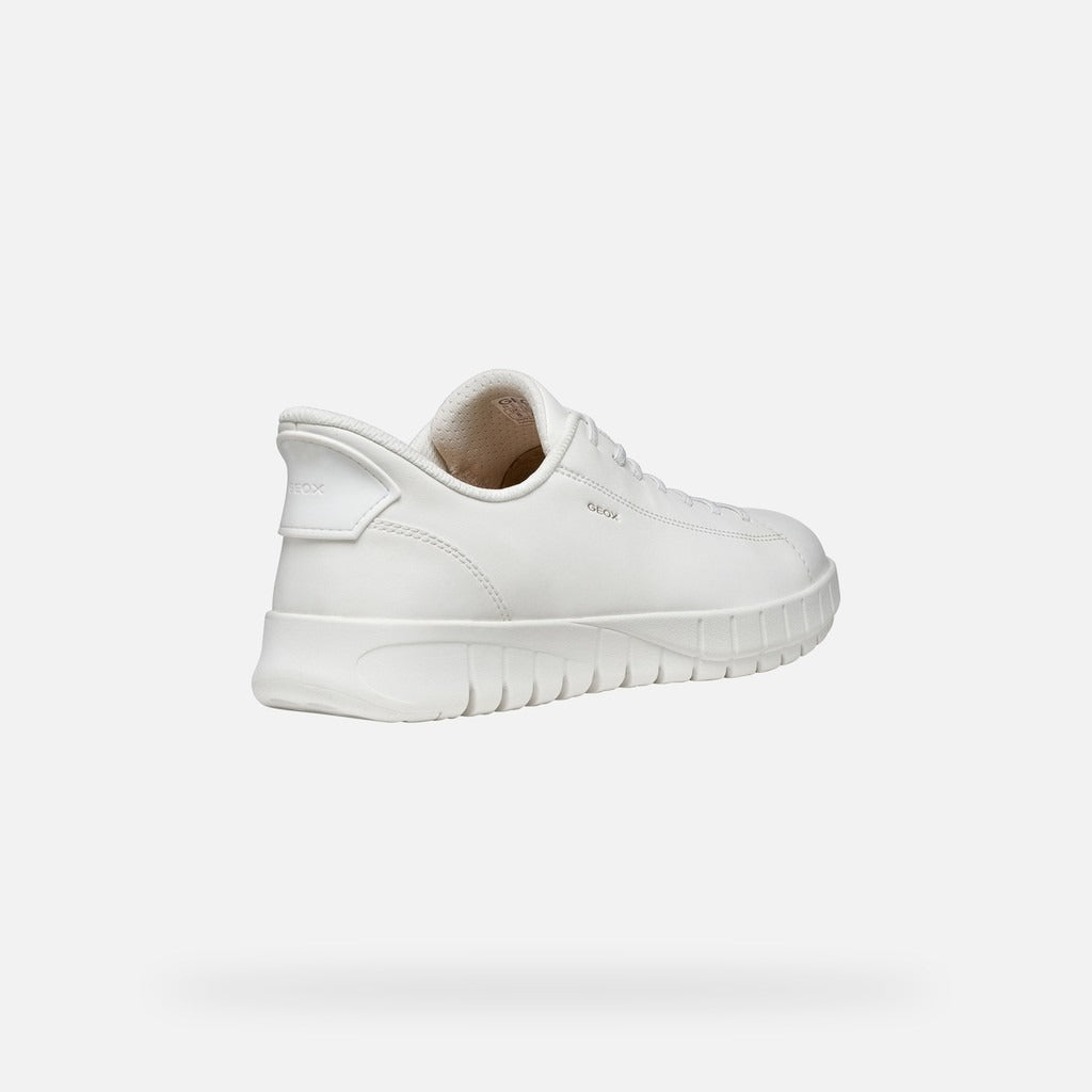 Geox Sneakers Uomo - White