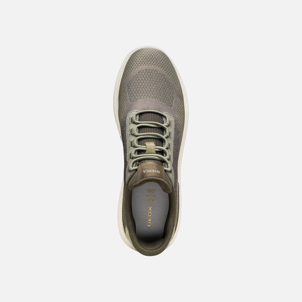 Geox Sneakers Donna - Sage
