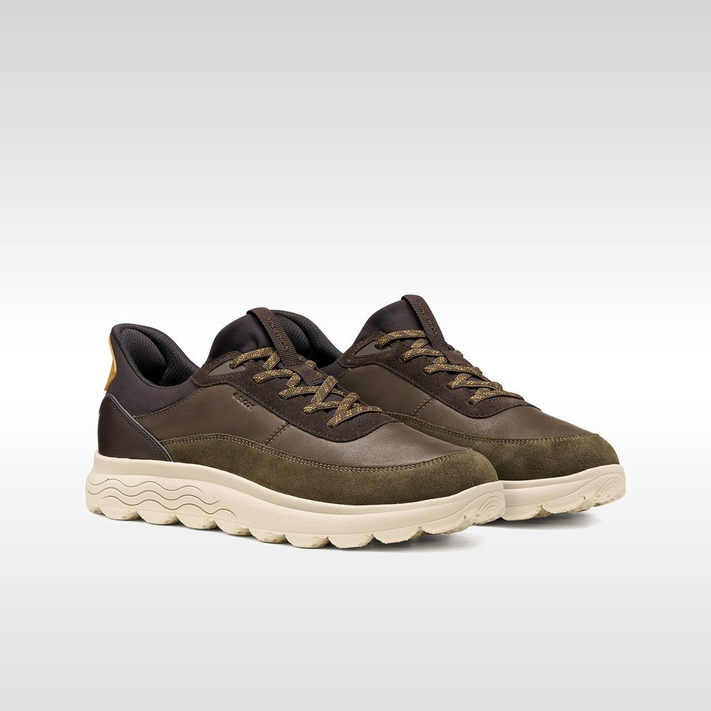 Geox Sneskers Uomo - Military/Coffee