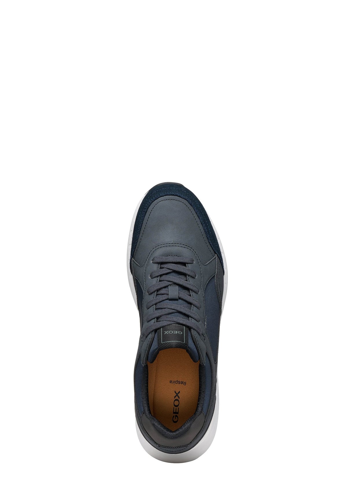 Geox Sneakers Uomo - Navy
